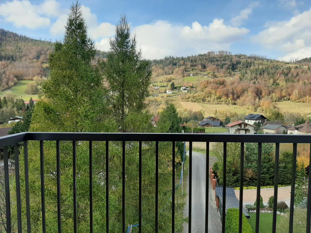 Zloty Widok & Apartment